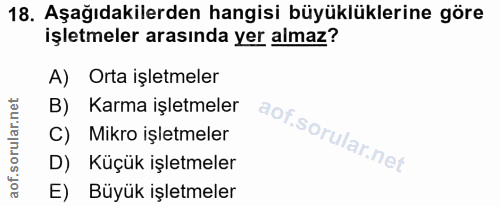 18. soru: Aşağıdakilerden hangisi büyüklüklerine göre işletmeler arasında yer almaz? A) Orta işletmeler B) Karma işletmeler C)…
