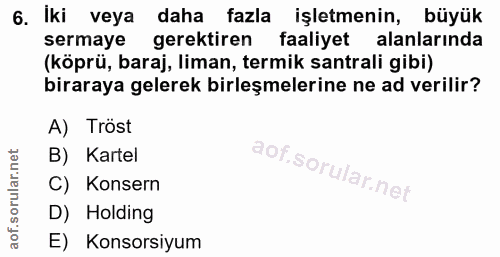 6. soru: İki veya daha fazla işletmenin, büyük sermaye gerektiren faaliyet alanlarında (köprü, baraj, liman, termik santrali g…