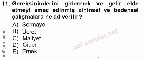 11. soru: Gereksinimlerini gidermek ve gelir elde etmeyi amaç edinmiş zihinsel ve bedensel çalışmalara ne ad verilir? A) Sermay…