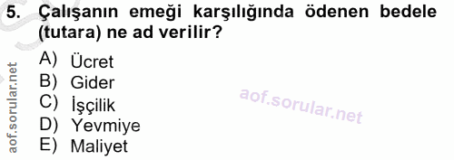 5. soru: Çalışanın emeği karşılığında ödenen bedele (tutara) ne ad verilir? A) Ücret B) Gider C) İşçilik D) ' Yevmiye E) Maliyet