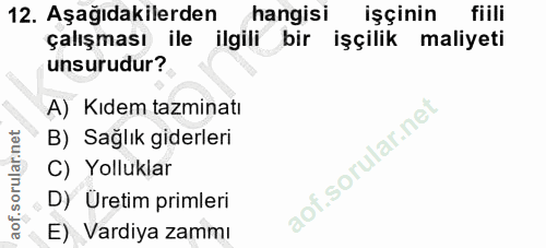 12. soru: Aşağıdakilerden hangisi işçinin fiili çalışması ile ilgili bir işçilik maliyeti unsurudur? A) Kıdem tazminatı B) Sağl…