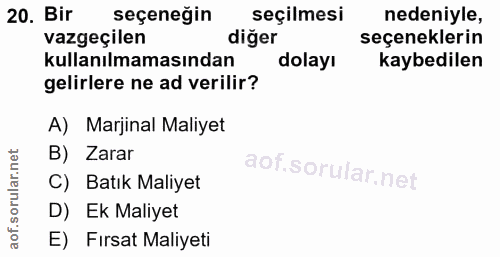 20. soru: Bir seçeneğin seçilmesi nedeniyle, vazgeçilen diğer seçeneklerin kullanılmamasından dolayı kaybedilen gelirlere ne ad…