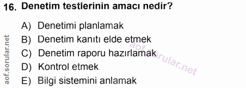 16. soru: Denetim testlerinin amacı nedir? A) Denetimi planlamak B) Denetim kanıtı elde etmek C) Denetim raporu hazırlamakrular…