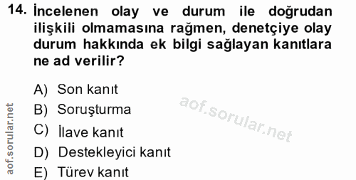 14. soru: Incelenen olay ve durum ile doğrudan ilişkili olmamasına rağmen, denetçiye olay durum hakkında ek bilgi sağlayan kanı…