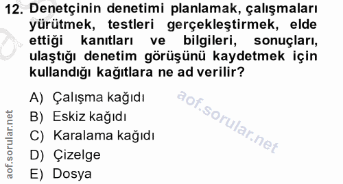 12. soru: Denetçinin denetimi planlamak, çalışmaları yürütmek, testleri gerçekleştirmek, elde ettigi kanıtları ve bilgileri, so…