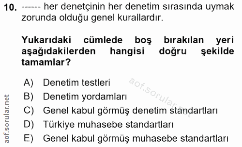 10. soru: -- her denetçinin her denetim sırasında uymak zorunda olduğu genel kurallardır. Yukarıdaki cümlede boş bırakılan yeri…