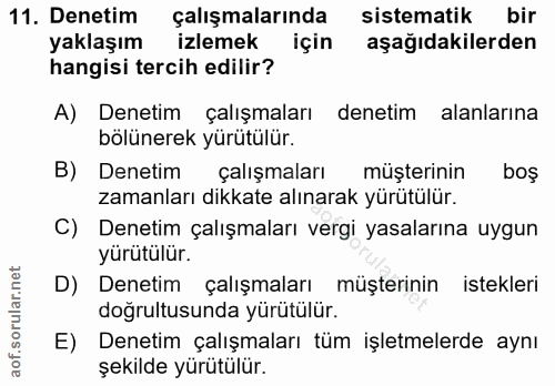 11. soru: Denetim çalışmalarında sistematik bir yaklaşım izlemek için aşağıdakilerden hangisi tercih edilir? A) Denetim çalışma…