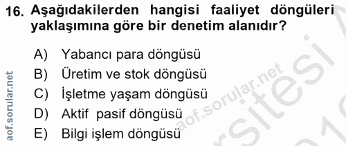 16. soru: Aşağıdakilerden hangisi faaliyet döngüleri yaklaşımına göre bir denetim alanıdır? A) Yabancı para döngüsü B) Üretim v…
