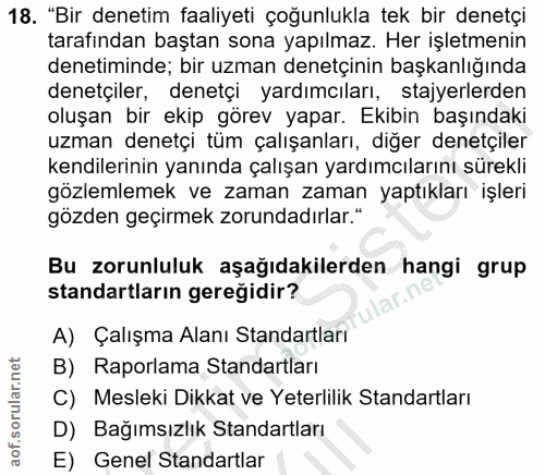 18. soru: "Bir denetim faaliyeti çoğunlukla tek bir denetçi tarafından baştan sona yapılmaz. Her işletmenin denetiminde; bir uz…