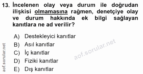 13. soru: İncelenen olay veya durum ile doğrudan ilişkisi olmamasına rağmen, denetçiye olay ve durum hakkında ek bilgi sağlayan…