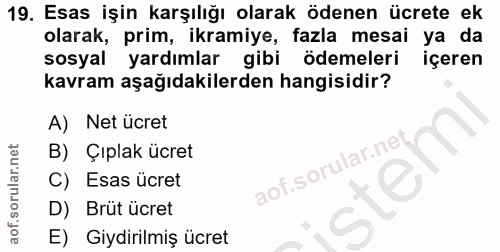 19. soru: Esas işin karşılığı olarak ödenen ücrete ek olarak, prim, ikramiye, fazla mesai ya da sosyal yardımlar gibi ödemeleri…