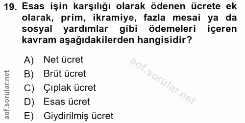 19. soru: Esas işin karşılığı olarak ödenen ücrete ek olarak, prim, ikramiye, fazla mesai ya da sosyal yardımlar gibi ödemeleri…