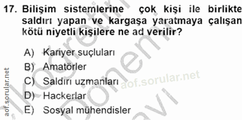17. soru: Bilişim sistemlerine çok kişi ile birlikte saldırı yapan ve kargaşa yaratmaya çalışan kötü niyetli kişilere ne ad ver…