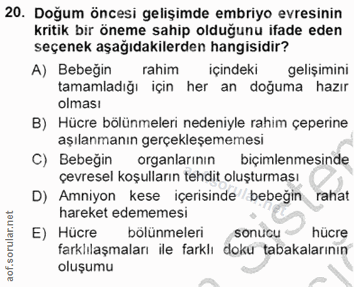 20. soru: Doğum öncesi gelişimde embriyo evresinin kritik bir öneme sahip olduğunu ifade eden seçenek aşağıdakilerden hangisidi…