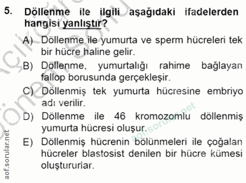5. soru: Döllenme ile ilgili aşağıdaki ifadelerden hangisi yanlıştır? A) Döllenme ile yumurta ve sperm hücreleri tek bir hücre…
