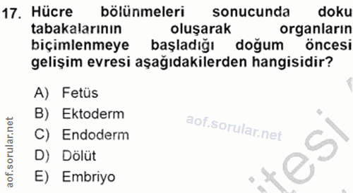 17. soru: Hücre bölünmeleri sonucunda doku tabakalarının oluşarak organlarin biçimlenmeye başladığı doğum öncesi gelişim evresi…
