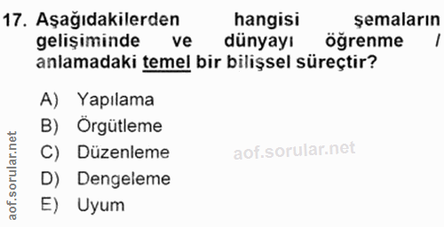 17. soru: Aşağıdakilerden hangisi semaların gelişiminde ve dünyayı öğrenme anlamadaki temel bir bilişsel süreçtir? A) Yapılama…
