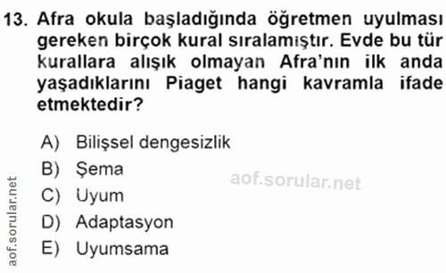 13. soru: Afra okula başladığında öğretmen uyulması gereken birçok kural sıralamıştır. Evde bu tür kurallara alışık olmayan Ara…