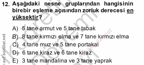12. soru: Aşağıdaki nesne gruplarından hangisinin birebir eşleme açısından zorluk derecesi en yüksektir? A) 5 tane armut ve 5 t…