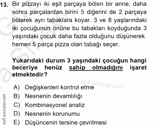 13. soru: Bir pizzayı iki eşit parçaya bölen bir anne, daha sonra parçalardan birini 5 diğerini de 2 parçaya bölerek ayrı tabak…