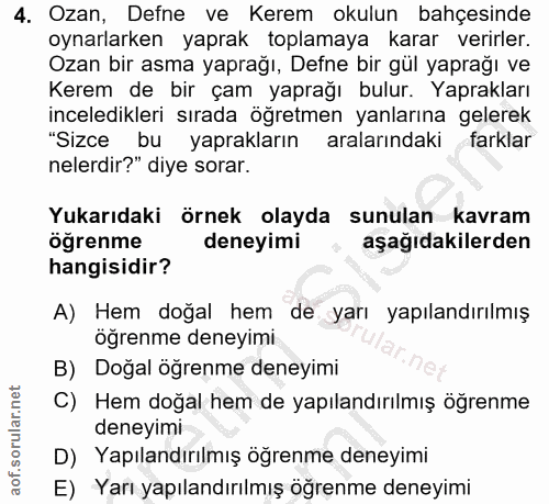 4. soru: Ozan, Defne ve Kerem okulun bahçesinde oynarlarken yaprak toplamaya karar verirler. Ozan bir asma yaprağı, Defne bir…