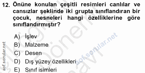12. soru: Önüne konulan çeşitli resimleri canlilar ve cansızlar şeklinde iki grupta sınıflandıran bir çocuk, nesneleri hangi öz…