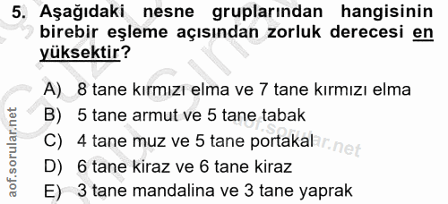 5. soru: Aşağıdaki nesne gruplarından hangisinin birebir eşleme açısından zorluk derecesi en yüksektir? A) 8 tane kırmızı elma…