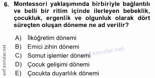 6. soru: Montessori yaklaşımında birbiriyle bağlantılı ve belli bir ritim içinde ilerleyen bebeklik, çocukluk, ergenlik ve olg…