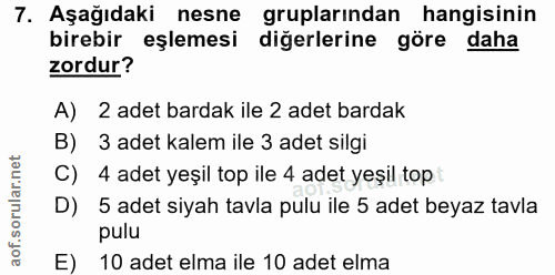 7. soru: Aşağıdaki nesne gruplarından hangisinin birebir eşlemesi diğerlerine göre daha zordur? A) 2 adet bardak ile 2 adet ba…