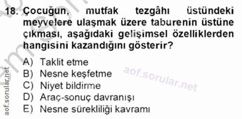18. soru: Çocuğun, mutfak tezgâhı üstündeki meyvelere ulaşmak üzere taburenin üstüne çıkması, aşağıdaki gelişimsel özelliklerde…