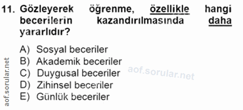 11. soru: Gözleyerek öğrenme, özellikle hangi becerilerin kazandırılmasında daha yararlıdır? A) Sosyal beceriler B) Akademik be…