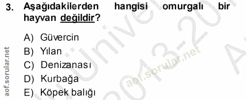3. soru: Aşağıdakilerden hangisi omurgalı bir hayvan değildir? A) Güvercin B) Yılan r.ne C) Denizanası agr.sprubat.net D) Kurb…