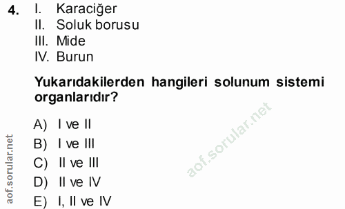 4. soru: I. Karaciğer Il. Soluk borusu III. Mide IV. Burun Yukarıdakilerden hangileri solunum sistemi organlarıdır? A) I ve ll…