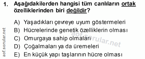 1. soru: Aşağıdakilerden hangisi tüm canlıların ortak özelliklerinden biri değildir? A) Yaşadıkları çevreye uyum göstermeleri…