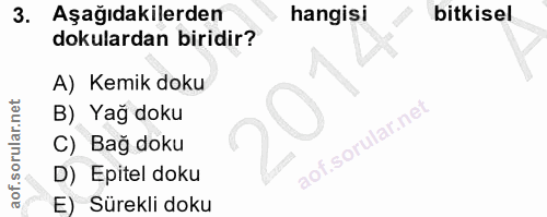 3. soru: Aşağıdakilerden hangisi bitkisel dokulardan biridir? A) Kemik doku B) Yağ doku C) Bağ doku D) Epitel doku E) Sürekli…