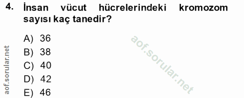 4. soru: Insan vücut hücrelerindeki kromozom sayısı kaç tanedir? A) 36 B) 38 C) 40 D) 42 E) 46
