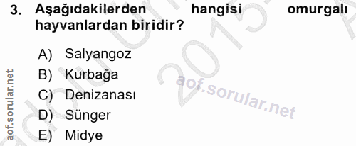 3. soru: Aşağıdakilerden hangisi omurgali hayvanlardan biridir? A) Salyangoz B) Kurbağa C) Denizanası D) Sünger E) Midye