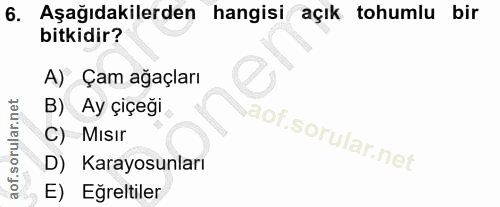 6. soru: Aşağıdakilerden hangisi açık tohumlu bir bitkidir? A)Çam ağaçları B) Ay çiçeği C) Mısır D) Karayosunları E) Eğretiler
