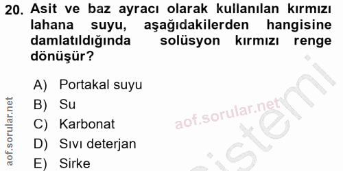 20. soru: Asit ve baz ayracı olarak kullanılan kırmızı lahana suyu, aşağıdakilerden hangisine damlatıldığında solüsyon kırmızı…