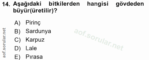 14. soru: Aşağıdaki bitkilerden hangisi gövdeden büyür(üretilir)? A) Pirinç B) Sardunya C) Karpuz D) Lale E) Pırasa