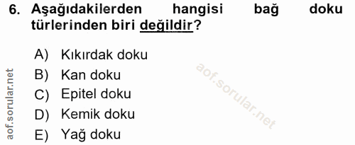 6. soru: Aşağıdakilerden hangisi bağ doku türlerinden biri değildir? A) Kıkırdak doku B) Kan doku C) Epitel doku D) Kemik doku…
