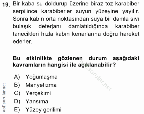 19. soru: Bir kaba su doldurup üzerine biraz toz karabiber serpilince karabiberler suyun yüzeyine yayılır. Sonra kabın orta nok…