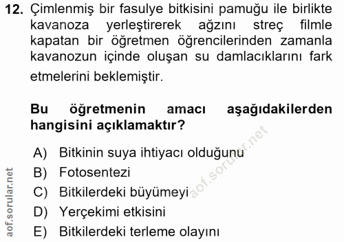 12. soru: Çimlenmiş bir fasulye bitkisini pamuğu ile birlikte kavanoza yerleştirerek ağzını streç filmle kapatan bir öğretmen ö…