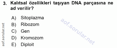 3. soru: Kalıtsal özellikleri taşıyan DNA parçasına ne ad verilir? A) Sitoplazma B) Ribozom C) Gen D) Kromozom aof. E) Diploit