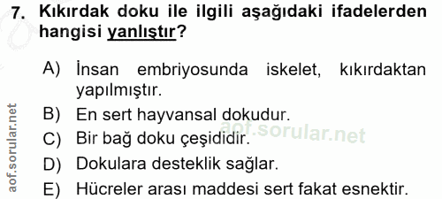 7. soru: Kıkırdak doku ile ilgili aşağıdaki ifadelerden hangisi yanlıştır? A) Insan embriyosunda iskelet, kıkırdaktan yapılmış…