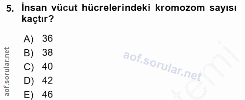 5. soru: İnsan vücut hücrelerindeki kromozom sayısı kaçtır? A) 36 B) 38 C) 40 D) 42 E) 46