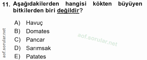 11. soru: Aşağıdakilerden hangisi kökten büyüyen bitkilerden biri değildir? A) Havuç B) Domates C) Pancar D) Sarimsak E) Patates