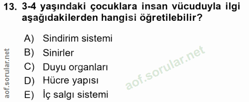 13. soru: 3-4 yaşındaki çocuklara insan vücuduyla ilgi aşağıdakilerden hangisi öğretilebilir? A) Sindirim sistemi B) Sinirler C…
