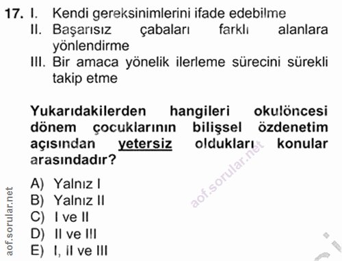 17. soru: I. Kendi gereksinimlerini ifade edebilme II. Başarısız çabaları farklı alanlara yönlendirme IlI. Bir amaca yönelik il…