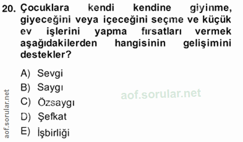 20. soru: Çocuklara kendi kendine giyinme, giyeceğini veya içeceğini seçme ve küçük ev işlerini yapma firsatları vermek aşağıda…